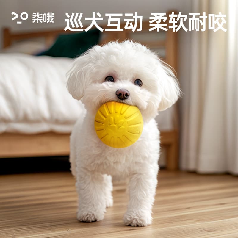 Bola de brinquedo para cachorro, anel pequeno para cachorro, Frisbee, Bichon, filhote de cachorro, Molar, resistente à m