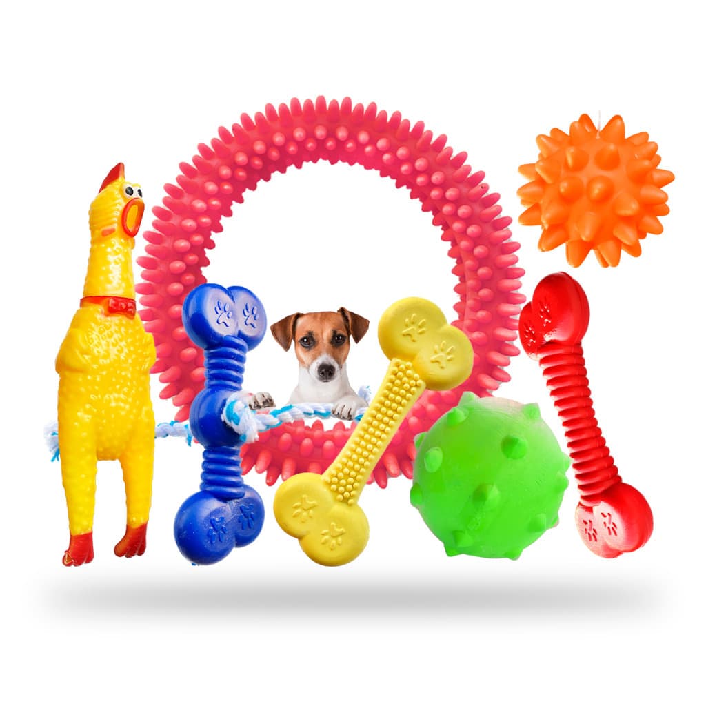 Kit Brinquedo Cachorro Pet Pequeno Porte Brinquedinho Pet Mordedor