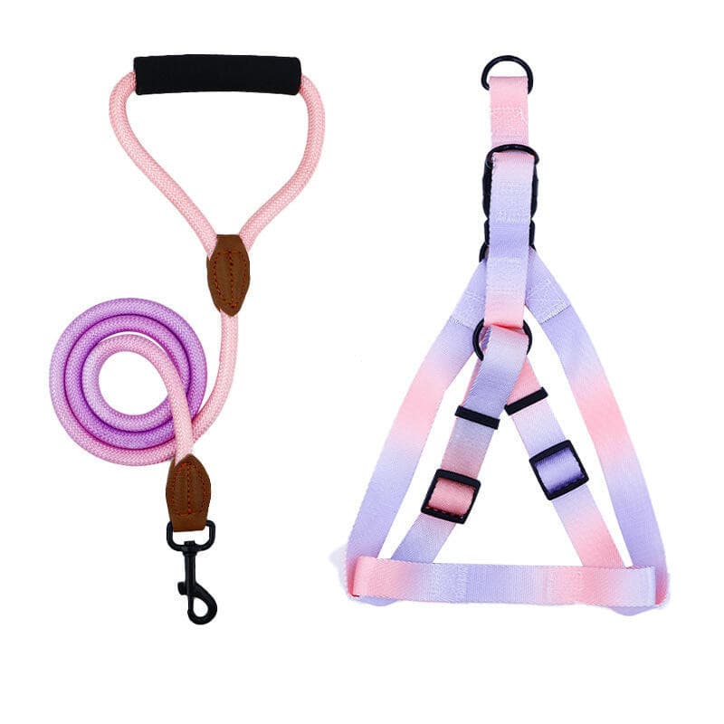Um Conjunto de Coleiras Coloridas para Animais de Estimação com Guia e Coleira para Uso Interno e Externo MIQX R7SC&&&**