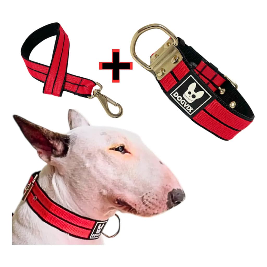 Coleira Colar Com Guia Pet Luxo Reforçada Forte Para Pitbull Grande