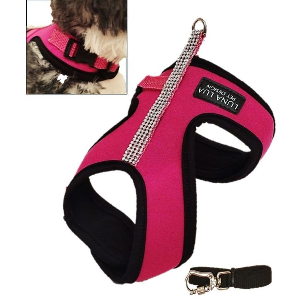 Peitoral Neoprene c/ Strass Pet Coleira e Guia p/ Cachorro