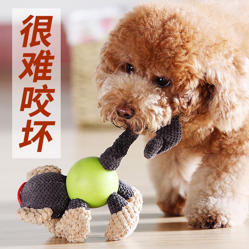 Brinquedo para cachorro, filhote de cachorro, Molar, resistente à mordida, voz, Teddy, Corgi, filhote de cachorro, bola 