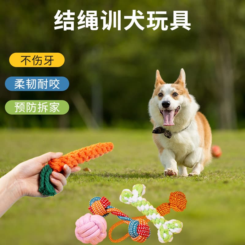 Conjunto de corda para mordida de cachorro, brinquedo para cachorro, nó Molar, bola resistente à mordida, Golden Retriev