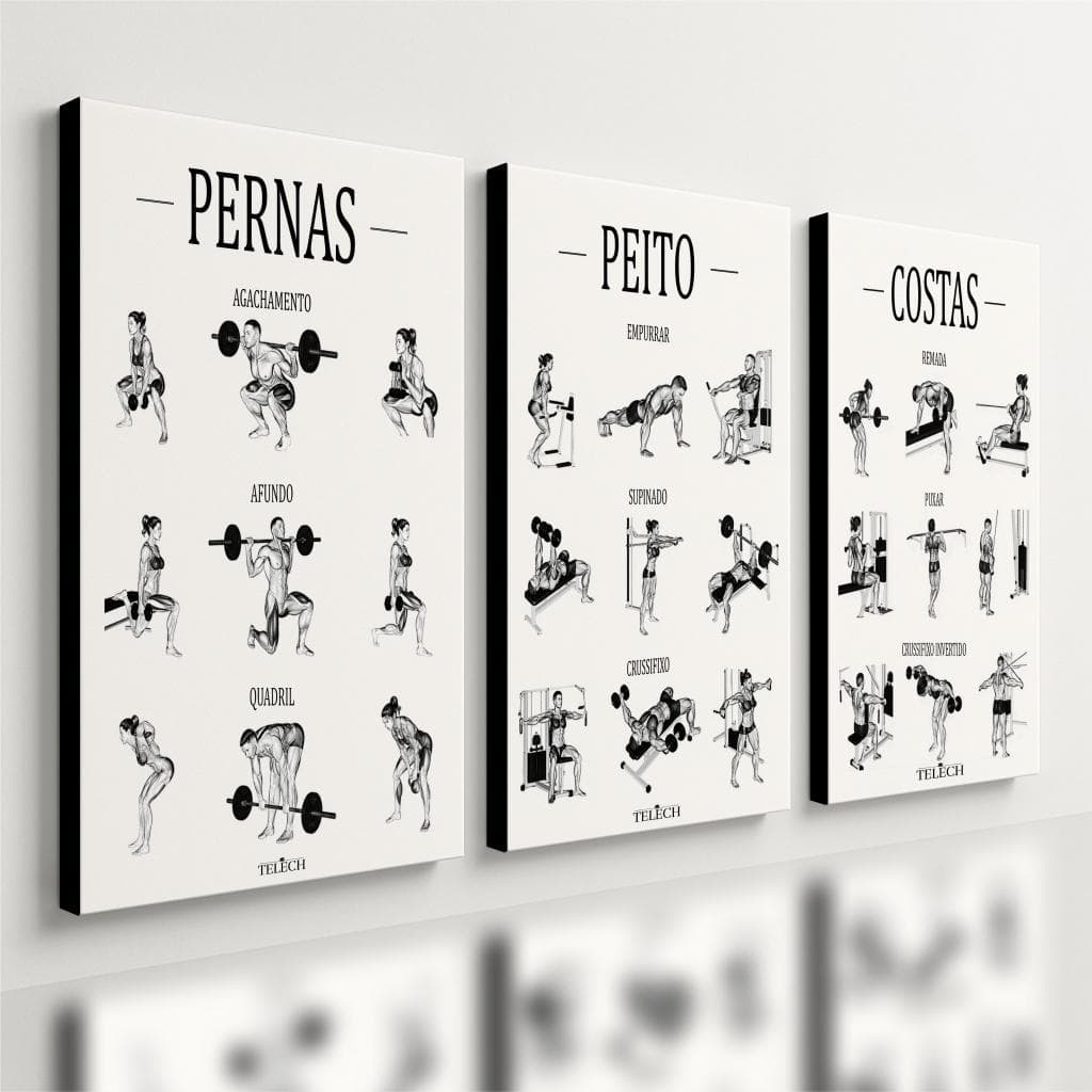 Kit 3 Quadro Decorativo Guia de Exercícios Treino Academia Gym Musculação