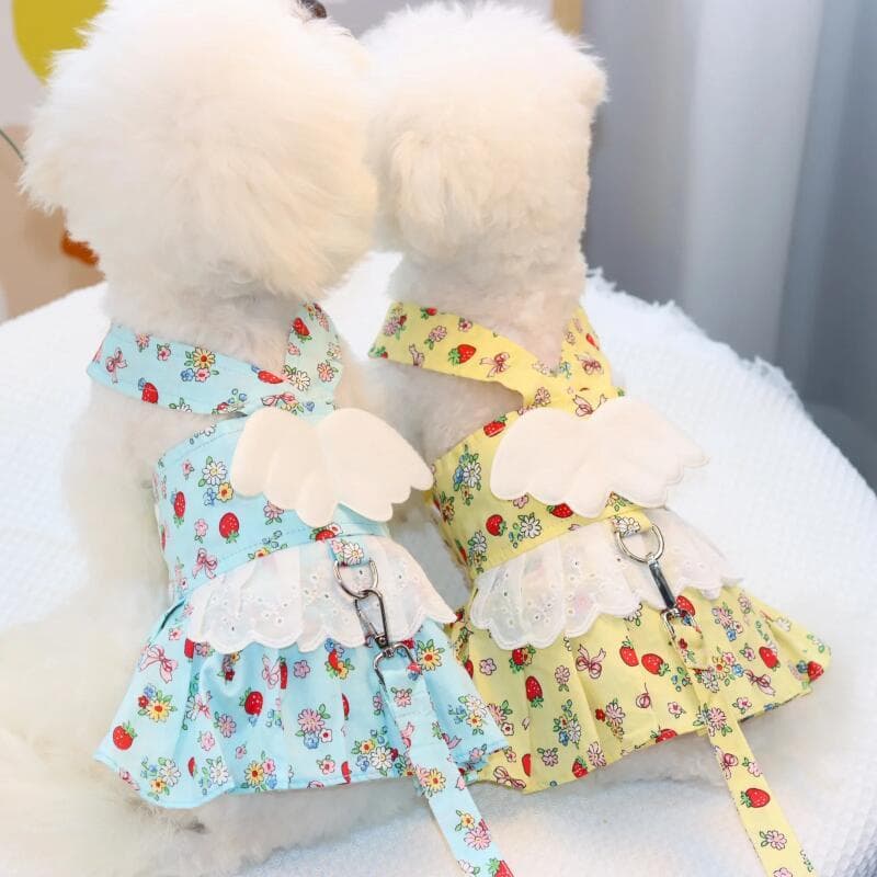Conjunto de Coleira e Guia para Cães de Estimação, Coleira Peitoral Respirável para Cães Pequenos, Guia para Passeio, Co