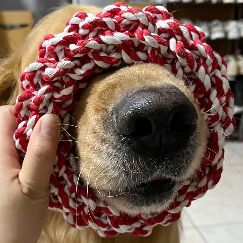 Brinquedo para cachorro mordida corda resistente à mordida nó puxar corda para cachorro grande Labrador grande cão reboc