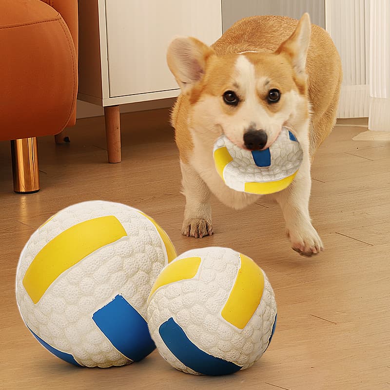 Brinquedo para cachorro com som de bola, filhote de cachorro, alívio do tédio, ferramenta útil, resistente à mordida, Mo