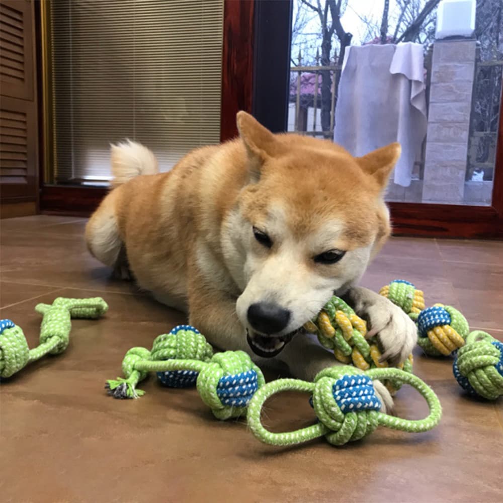 Brinquedo para cachorro, resistente à mordida, filhote de cachorro, limpeza de dentes, nó, corda de mordida, pelúcia, Co