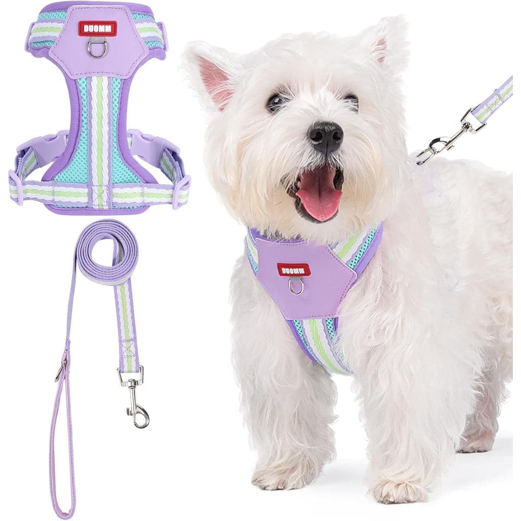 Conjunto de Coleira e Guia Anti-Puxão para Cães, Coleira Ajustável para Cães de Pequeno, Médio e Grande Porte, Coleira R