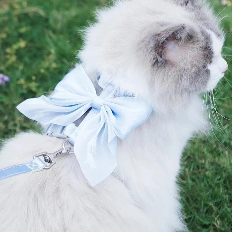 Coleira e guia ajustáveis com laço adorável para gatos, coleira para animais de estimação com corda de tração para gatos