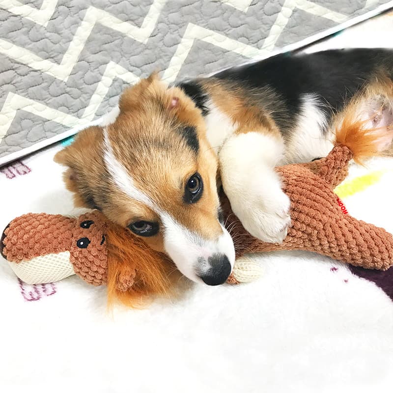 Brinquedo para cachorro de estimação, resistente à mordida, filhote de cachorro dormindo com som de pelúcia Bichon Corgi