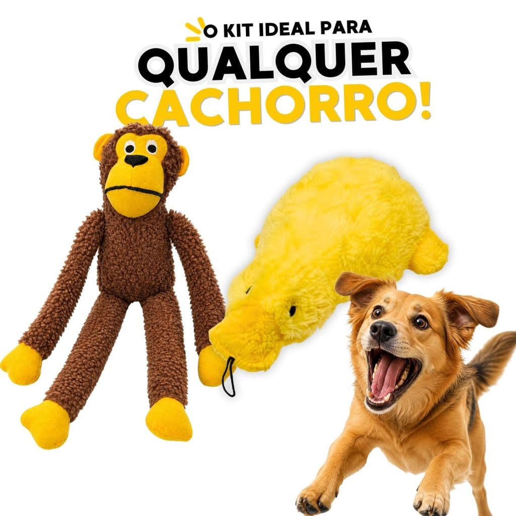 Kit Brinquedo para Cachorro Pelúcia Pato Big Duck + Macaco - Kit Macio, Divertido e Resistente