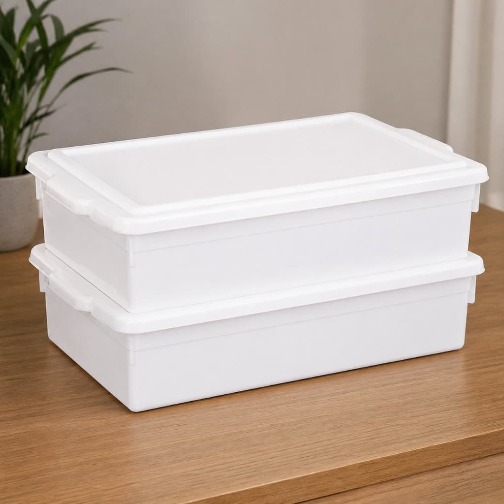 Kit 2 Caixas Organizadora 16,5 litros com Tampa Bioprátika  Multiuso Cozinha Freezer Pleion