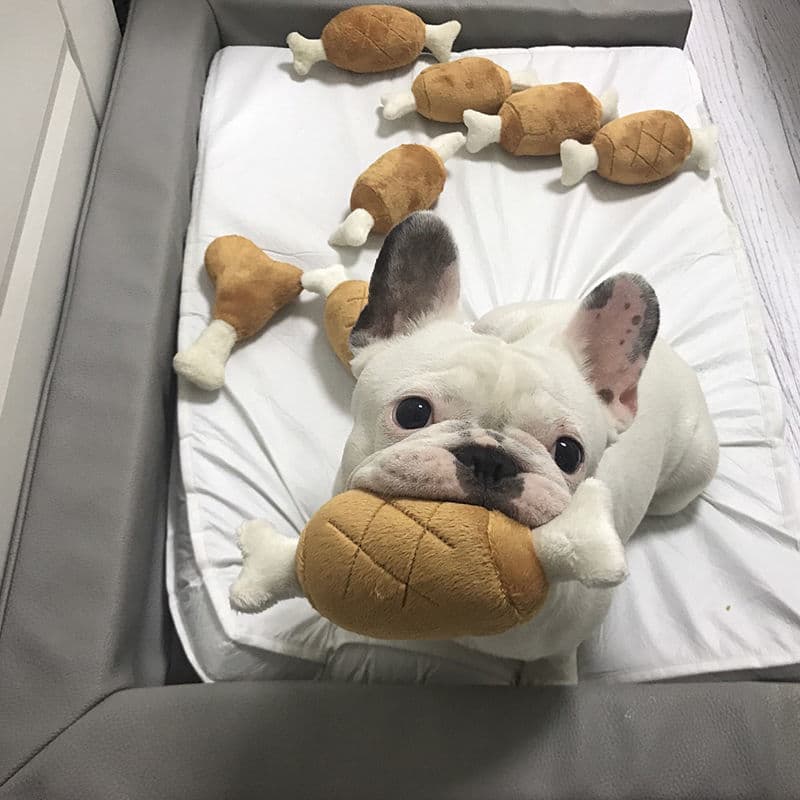 Brinquedo para cachorro Molar pelúcia não-mordida resistente filhote de cachorro luta por voz Corgi Shiba Inu grande esc