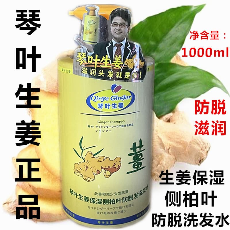 Qin folha gengibre lado cipreste folha Anti-derramamento shampoo gengibre hidratante shampoo fofo gengibre rei shampoo 1