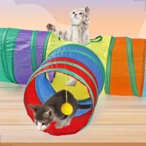 Túnel Colorido Bolinhas Antiestresse Casinha Pets Gatos Divertido Interativo Criança