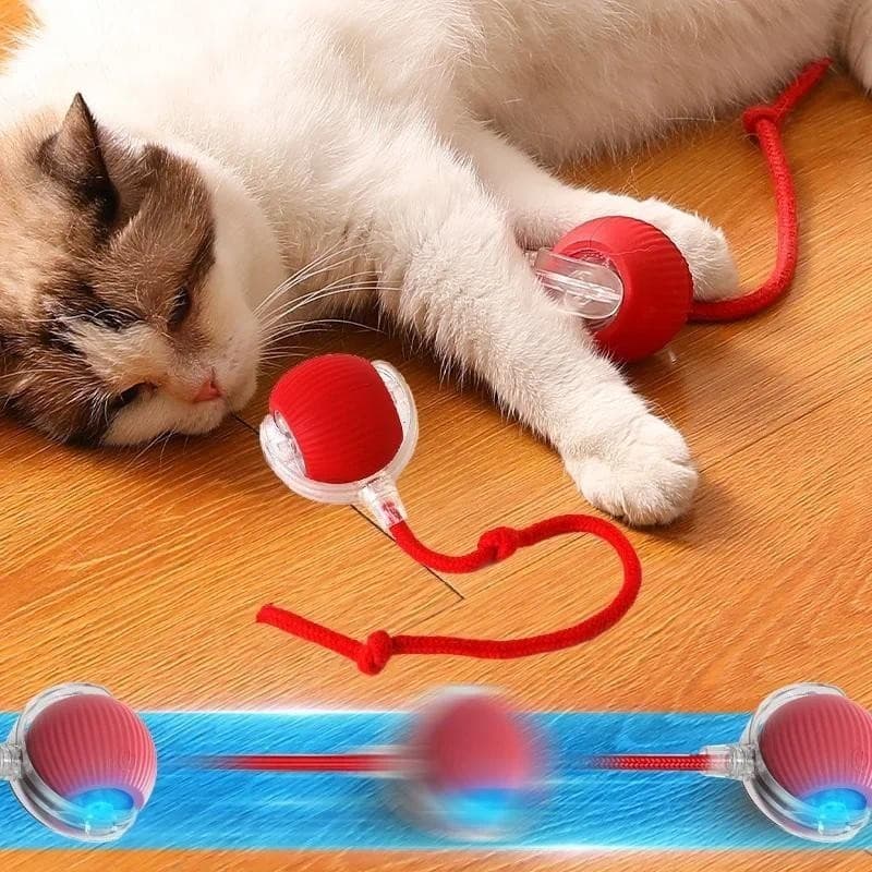 Brinquedo Interativo para Gatos | Bola Rolante Automática com Cauda | Recarregável Elétrico
