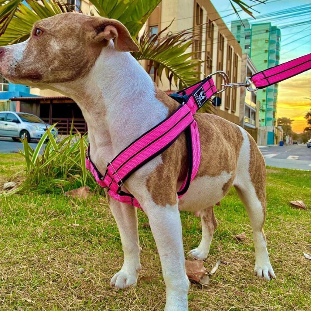 Coleira Peitoral + Guia Forte Cachorro Cão Pitbull Porte Médio Grande Resistente Confortável -Dogvix