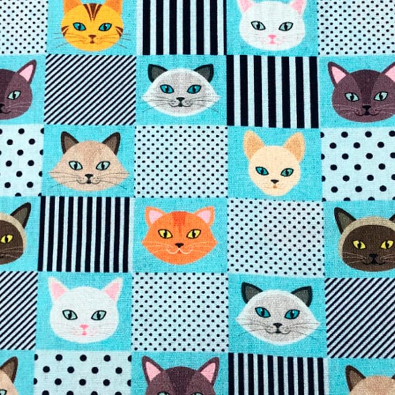 Tecido Tricoline  Digital gatinhos em patchwork azul claro