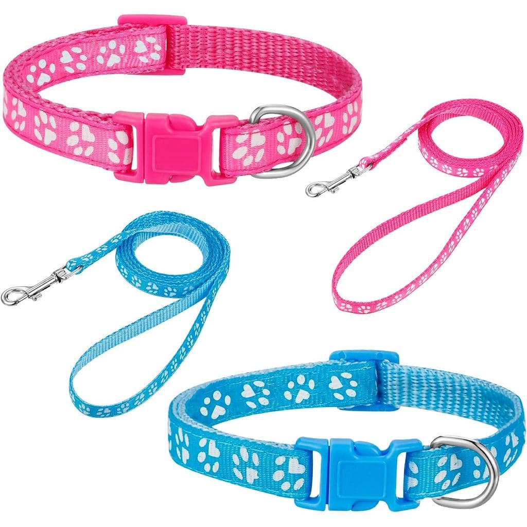 BOUMUSOE – Conjunto de coleira e guia para cães, 2 unidades, conjunto de coleira e guia para cachorros, fivela de libera