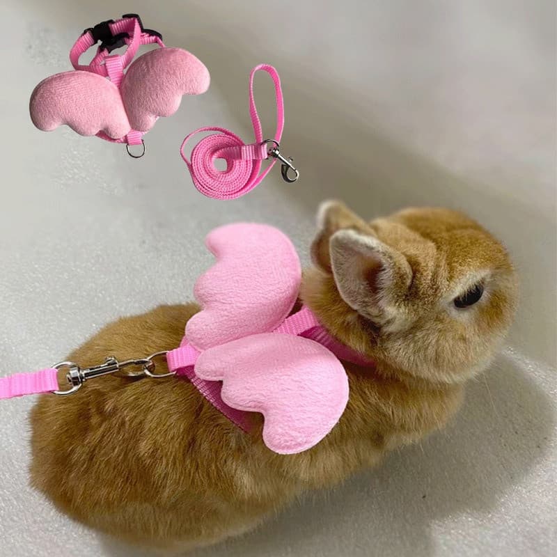 Coleira e Guia para Coelhos e Gatos com Asas de Anjo Fofas, Coleiras Personalizadas para Coelhos, Roupas para Hamsters-&