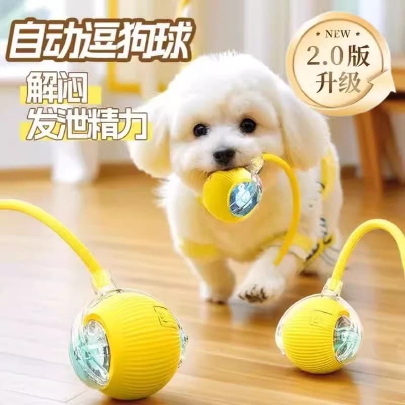 Bola de brinquedo para cachorro japonês, bola automática para caminhada de cachorro, resistente à mordida, consumo físic