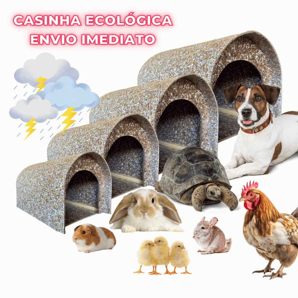 Toca Grande Casinha Pet Ecológica Reciclável para Cães, Coelhos, Tartarugas, Jabutis, Galinhas e Roedores
