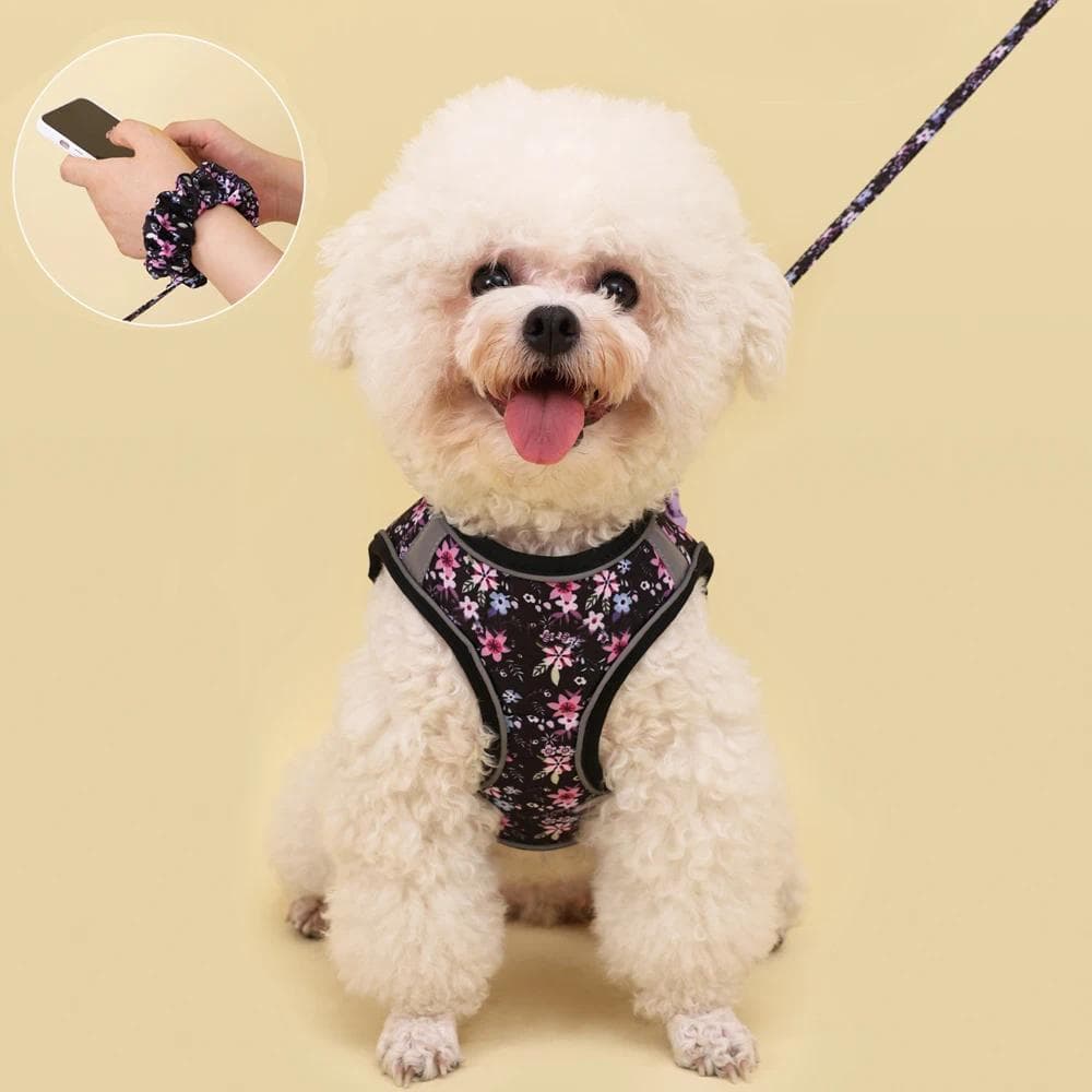 Conjunto de Coleira e Guia para Cães Pequenos, Coleira Macia para Filhotes, Coleira de Tração Bonita, Coleira para Gatos
