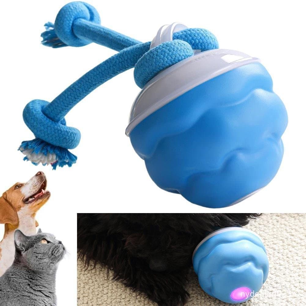 Novos Brinquedos Interativos Para Bola De Cachorro , Brinquedo Com Som Recarregável E Rolamento Ativo C0c3