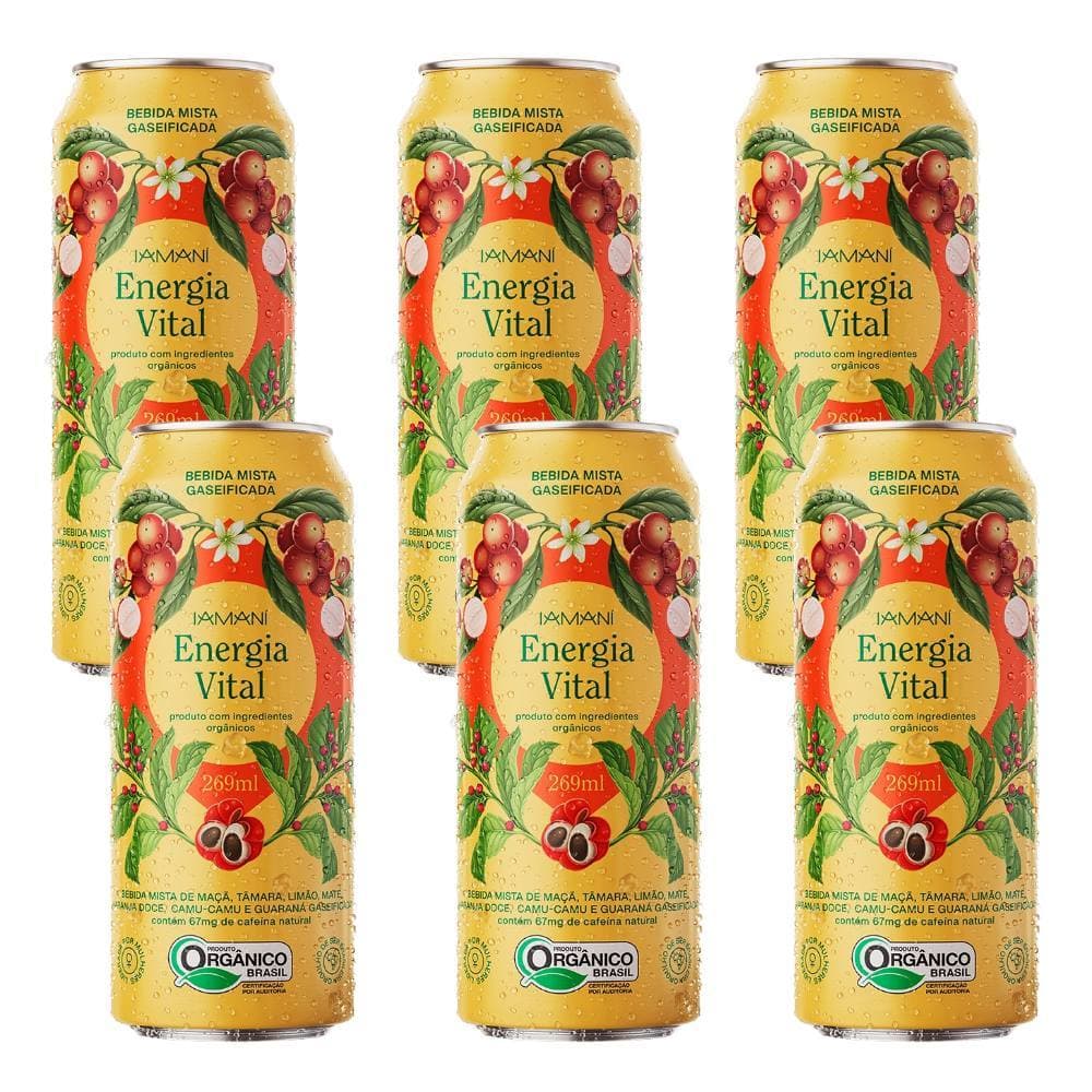 Kit Chá Gelado Gaseifi Energia Vital Orgânico Iamaní 269ml