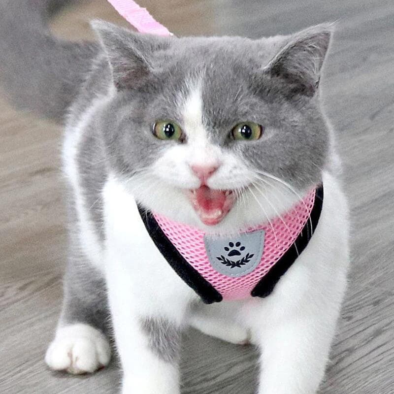 Coleira de Verão para Gato e Cão com Guia Ajustável, Colete de Poliéster em Malha Respirável, Coleiras Refletivas para C
