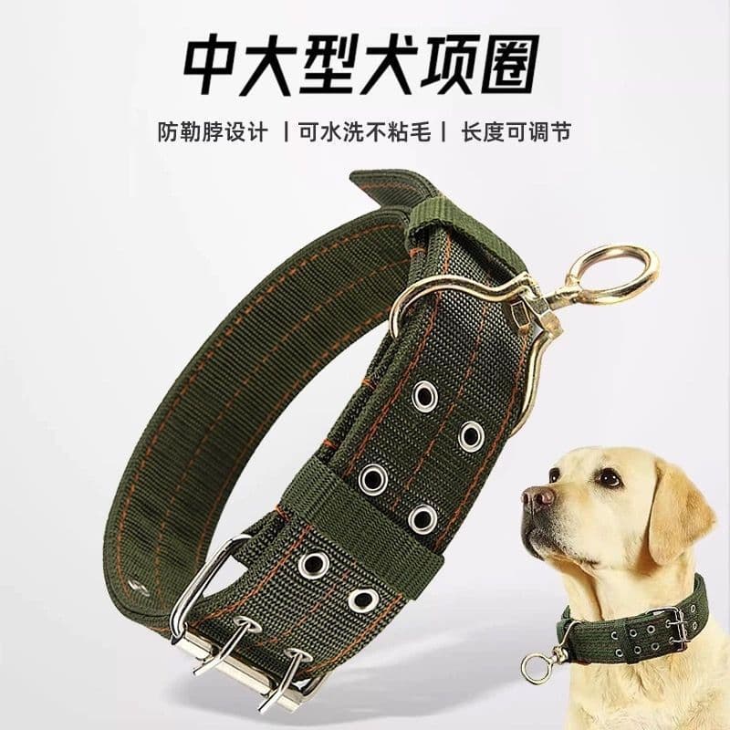 Coleira larga de duas fileiras para cães, coleira para cães de porte médio, guia para cães, guia para cães grandes e peq