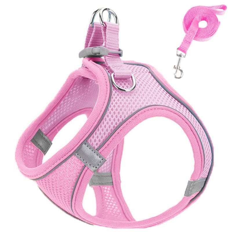 Conjunto de Coleira e Guia para Gato e Cachorro, Coleira de Nylon Respirável, Confortável e Ajustável para Gatinhos, Ace