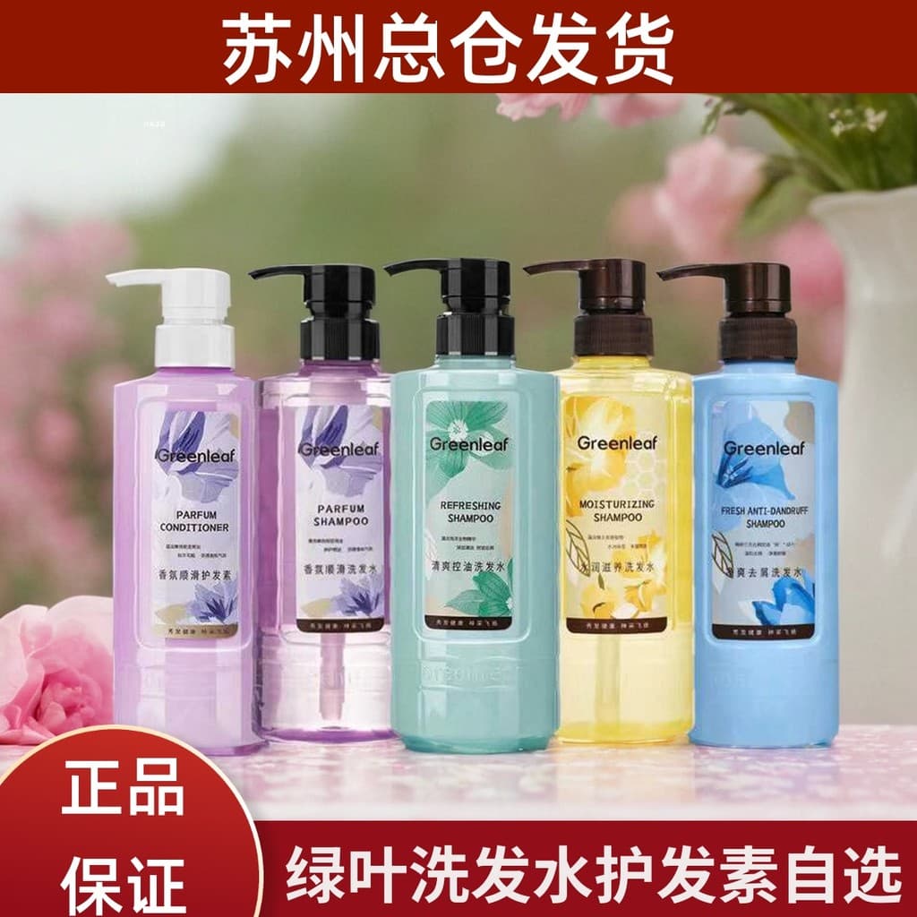 Folha verde fragrância suave Shampoo condicionador hidratante nutritivo macio fragrância de longa duração refrescante an