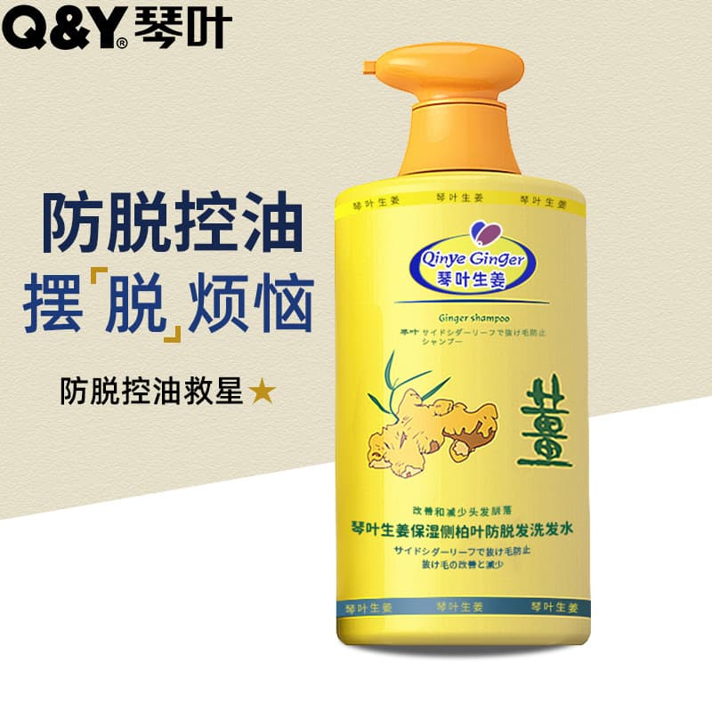 Genuíno Qin folha gengibre shampoo hidratante masculino feminino controle de óleo hidratante shampoo profissional anti-c
