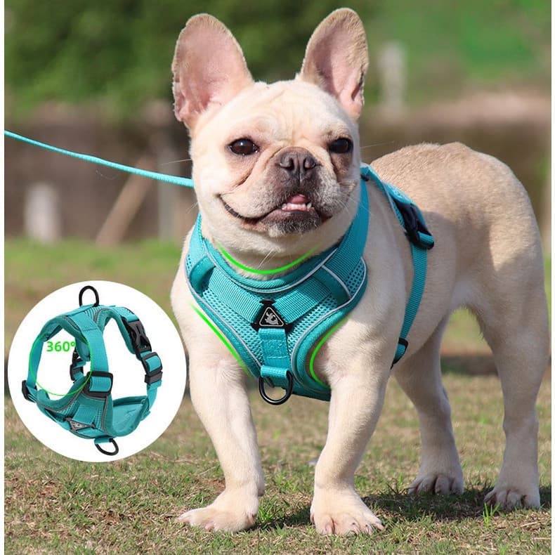 Conjunto de Coleira e Guia para Cães de Estimação, Coleira Ajustável para Cães Pequenos e Grandes, Gato, Coleira Refleti