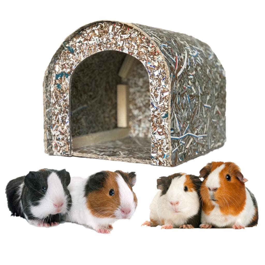 Casinha Toca Casa De Porquinho Da Índia Hamster Toquinha Ecológica
