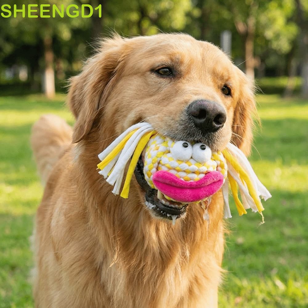 SHEENGD1 Brinquedo De Corda Para Mastigar Cachorro , Colorido De Limpeza De Dentes De Desenho Animado , Brinquedos De Bo