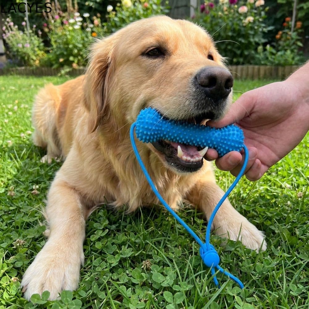 Brinquedo De Limpeza De Dentes De Animais De Estimação LACYES , Bastão De Dentição De Cachorro Resistente À Mordida , Co