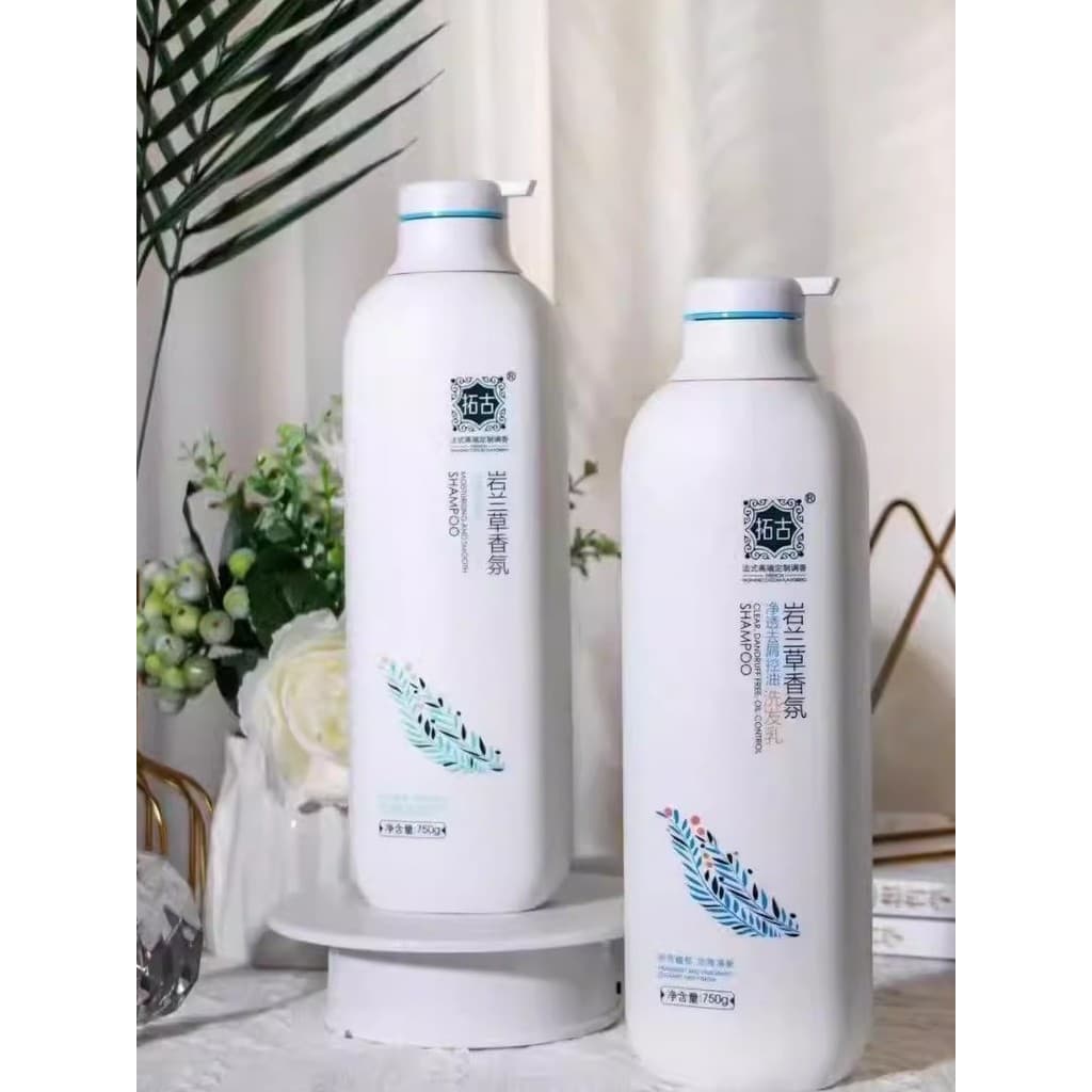 Poly You Run Tuo Ancient Vetiver Fragrância Anticaspa Shampoo de Controle de Óleo Nutritivo Hidratante Anticaspa Anti-Co