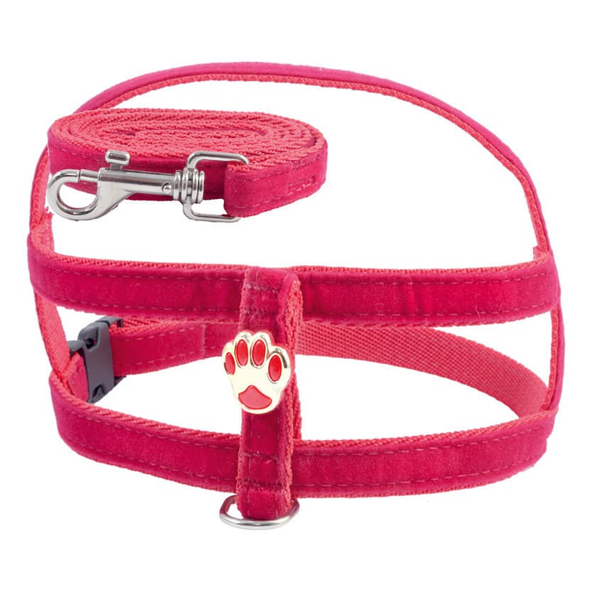 Coleira Peitoral Pet + Guia De Camurça Passeio Cachorro