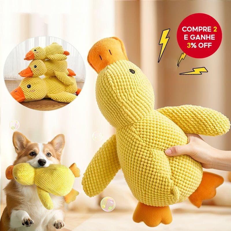 Brinquedo de Pelúcia Pato Ladrê para Cães; Brinquedo Dental e Urso de Pelúcia para Gastar Energia.