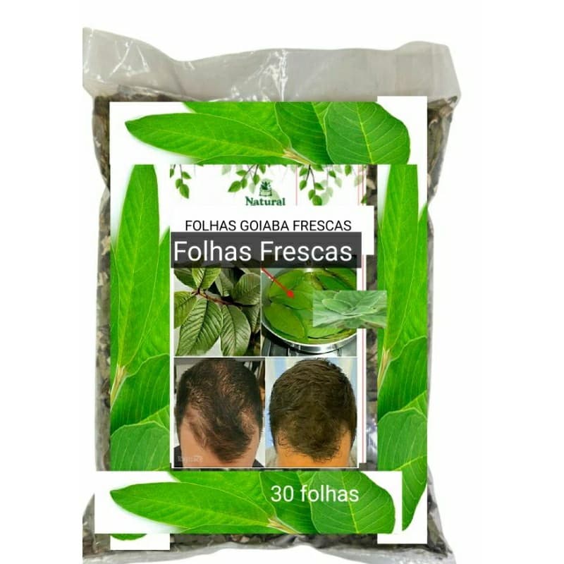 20 Folhas de GOIABA Frescas 100% Orgânicas Chá ou queda cabelo Aromaticas Saúde OFERTA