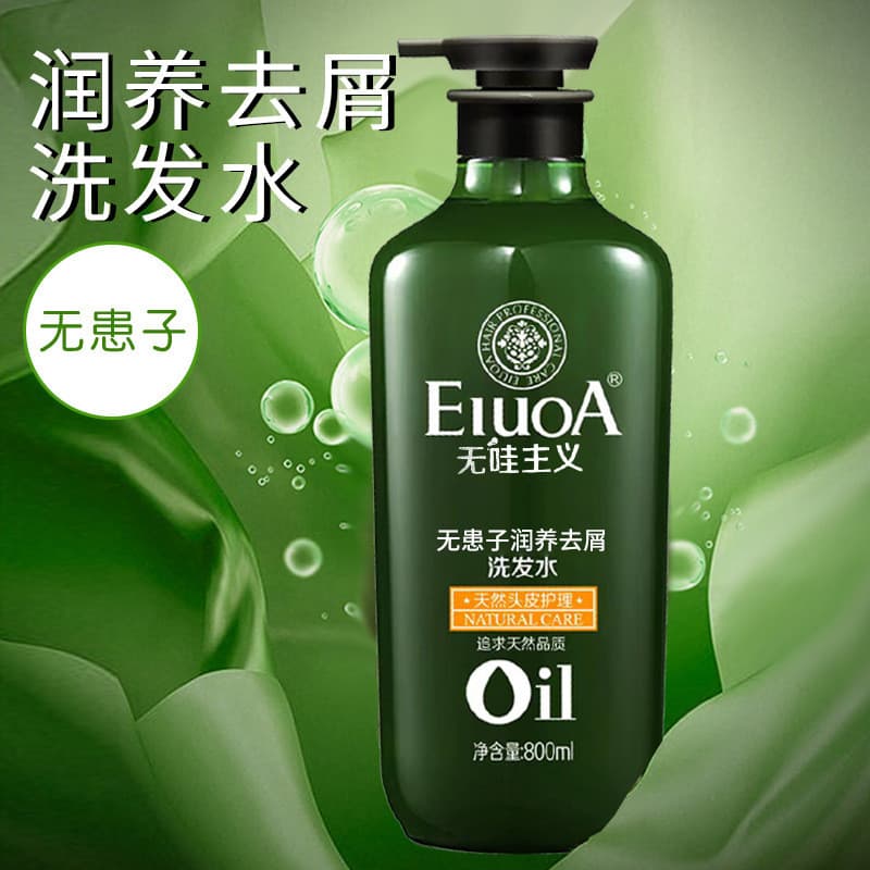 Agley Sapindus Gengibre Chá Semente Shampoo Hidratante Hidratante Anticaspa Refrescante Controle de Óleo Creme de Limpez