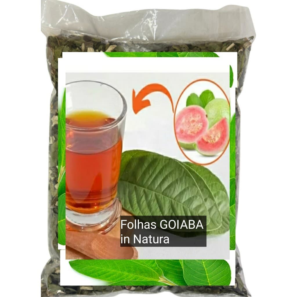 30 Folhas de GOIABA Frescas 100% Orgânicas Chá Aromaticas Saúde Medicinais OFERTA