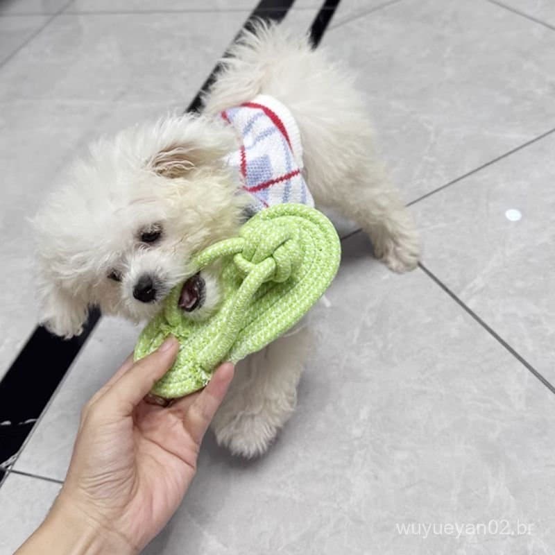 Brinquedo para cachorro, resistente à mordida, atualização, limpeza de dentes molares, pequeno, médio porte, cachorro, p