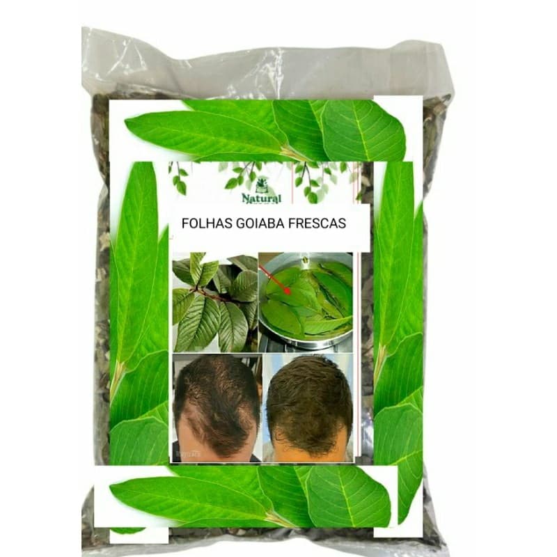 kit Folhas de GOIABA Frescas 100% Orgânicas Chá Aromaticas receitas drinks OFERTA