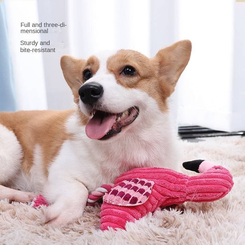 Brinquedo para animais de estimação voz de pelúcia cachorro Molar veludo brinquedo para cachorro