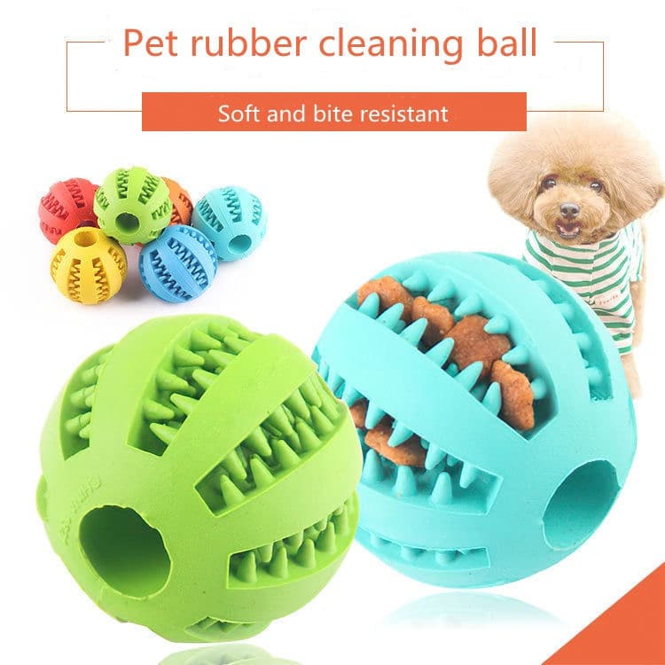 Brinquedo para cachorro com vazamento, bola elástica de borracha Natural, Molar para cachorro