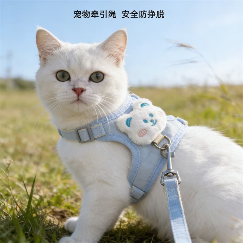 🌟Envio Rápido🌟 Coleira Guia Estilo Colete + Arnês Peitoral – Fofo e Resistente – Para Pets Pequenos/Médios, Uso Externo